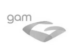 GAM logo